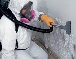 Trusted Beachwood, NJ Mold Removal & Remediation Experts